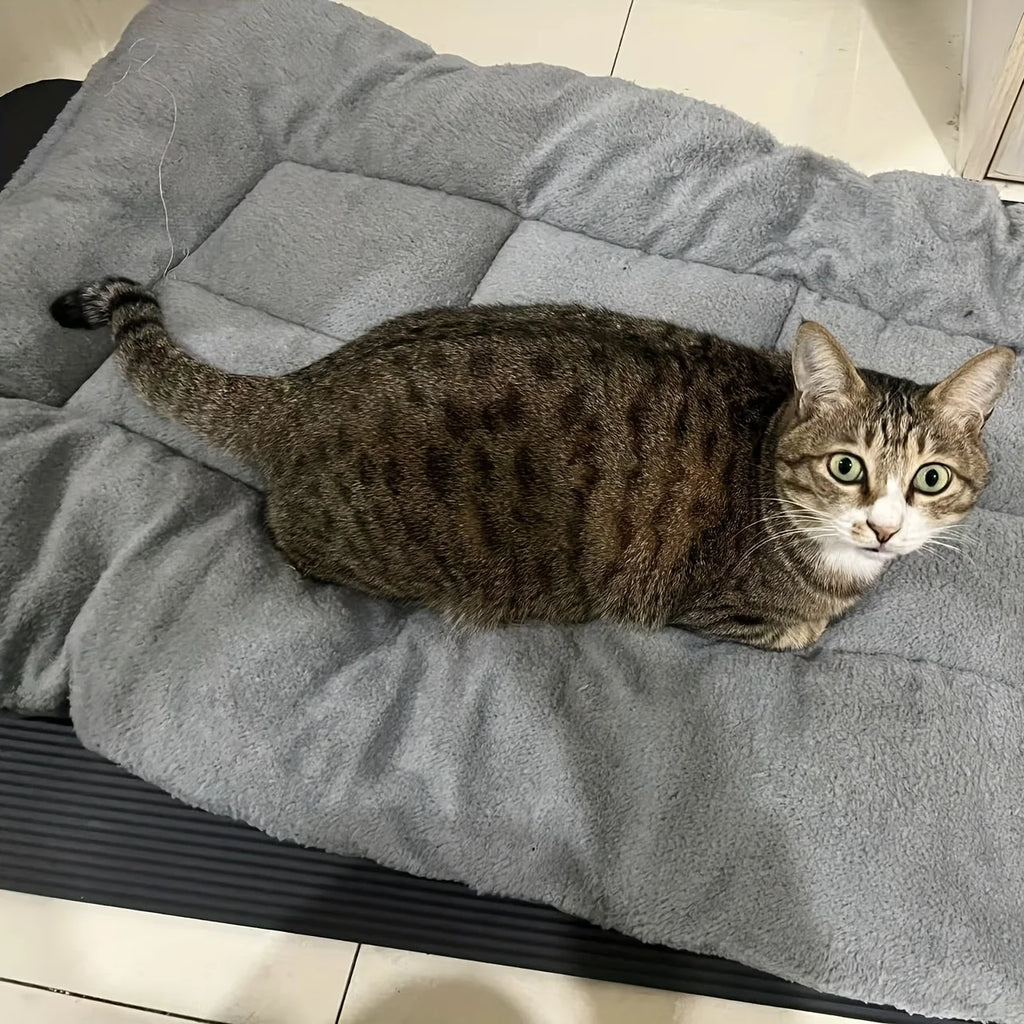 Extra-large Plush Dog Bed/sofa/cat Bed/dog House/cage Mat, Thick and Super Soft Polyester Pet Mat